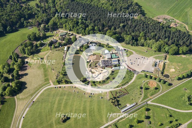 Woburn Safari Park, Woburn, Bedfordshire, 2018. Creator: Historic England.