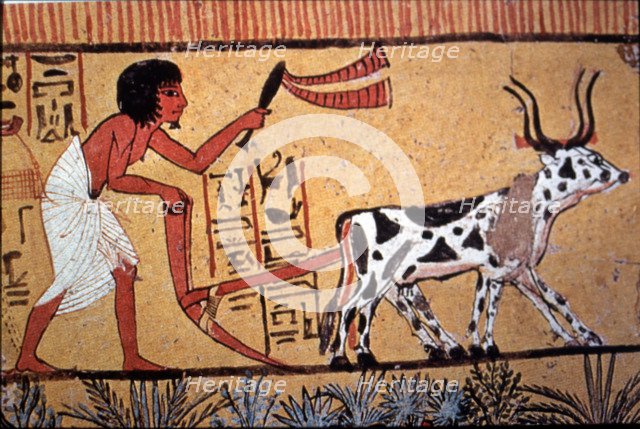 Representation of an Egyptian doing agricultural tasks, detail of a fresco from the tomb of Senne…
