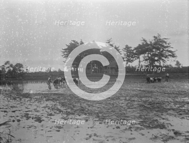 Travel views of Japan and Korea, 1908. Creator: Arnold Genthe.