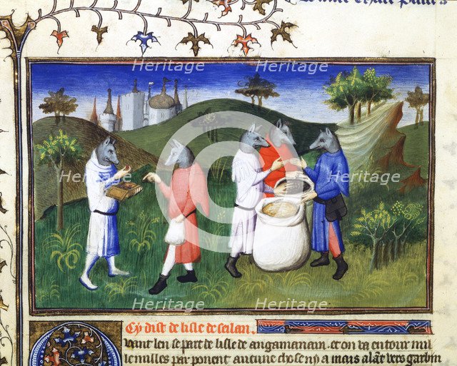 Dog-headed men, late 13th century, (early 15th century).