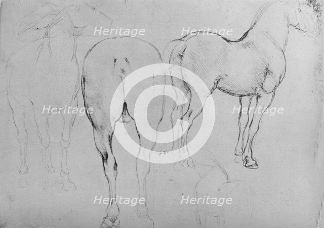 'Four Sketches of Horses', c1480 (1945). Artist: Leonardo da Vinci.