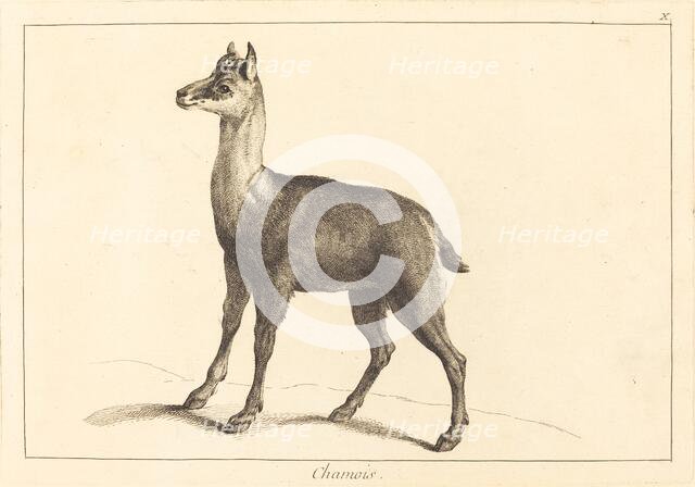Chamois (Chamois). Creator: Jacques Philippe Le Bas.