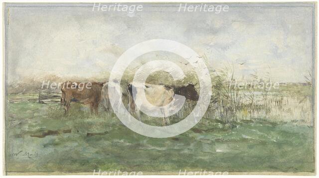 Cows at a puddle, 1844-1910. Creator: Willem Maris.
