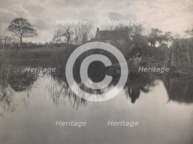 Quanting the Gladdon, 1887. Creator: Peter Henry Emerson.