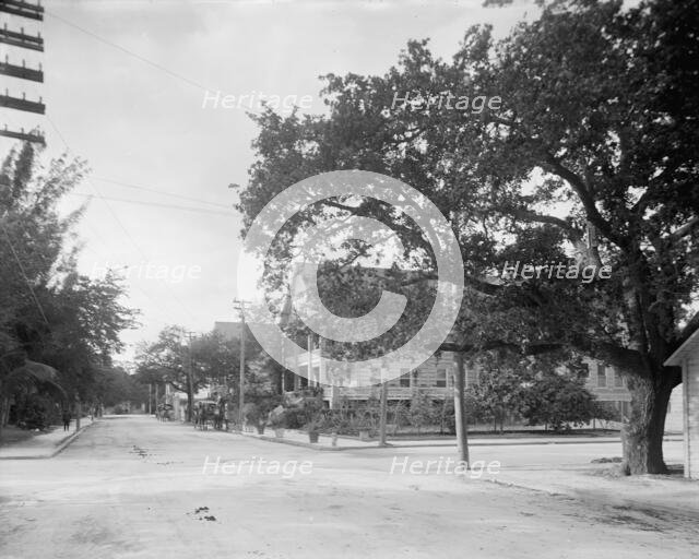 Miami, Fla., Avenue C and Fort Dallas Hotel, between 1900 and 1920. Creator: Unknown.