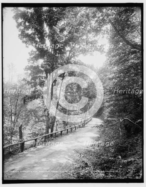Schooley's Mtn., road from Hackettstown, N.J., between 1890 and 1901. Creator: Unknown.