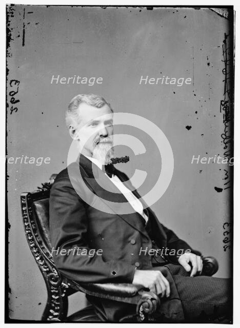 Wolfe, between 1870 and 1880. Creator: Unknown.