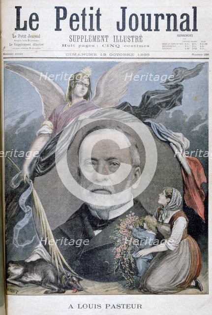 Louis Pasteur, French chemist, 1895. Artist: Henri Meyer