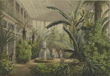 Verkiai Palace. Interior of conservatory, 1847-1852.
