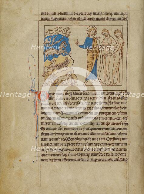 The Creation of the Animals and of Adam and Eve; Northumberland Bestiary, about 1250-1260. Creator: Unknown.