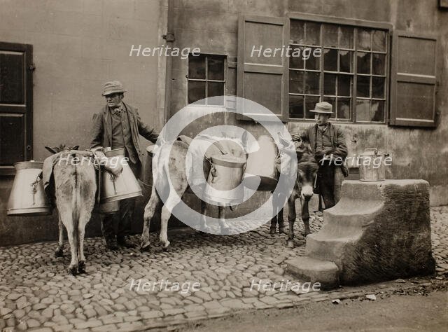 Milk Donkeys, c. 1890. Creator: Frank Meadow Sutcliffe.