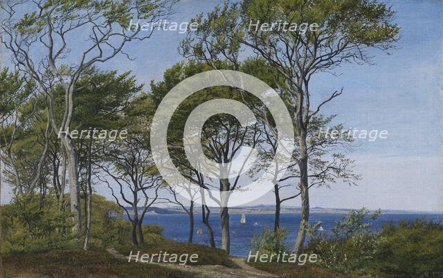 View Through Beech Trees Across a Fiord, 1850-1859. Creator: Peter Christian Thamsen Skovgaard.