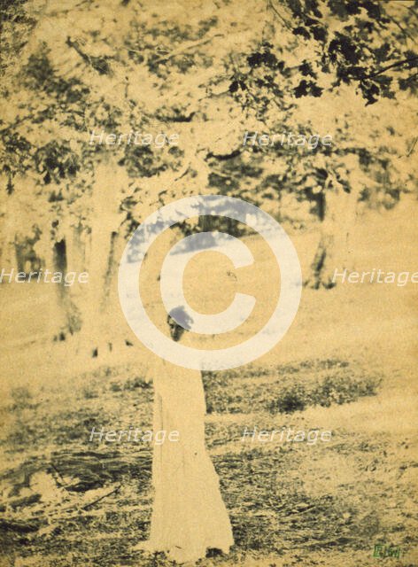 Woman standing in a park, trees in background, c1900. Creator: Eva Watson-Schutze.