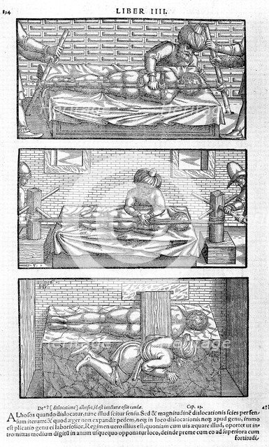 Illustration from Liber canonis de medicinis cordialibus by Avicenna, 1556. Artist: Anonymous  