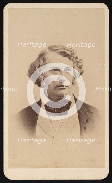 Portrait of Charles Sumner (1811-1874), Before 1874. Creator: James Wallace Black.