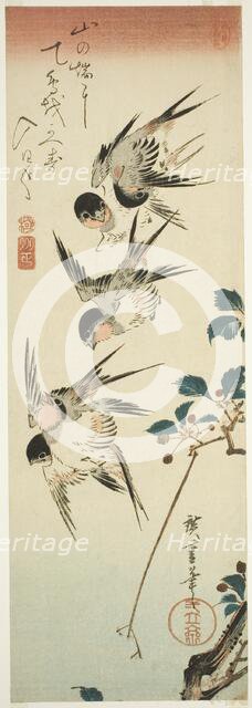 Swallows and Cherry Blossoms, early 1830s. Creator: Ando Hiroshige.