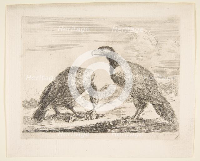Two eagles, one devouring a lamb, from 'Eagles' (Les aigles), ca. 1651. Creator: Stefano della Bella.