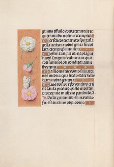 Hours of Queen Isabella the Catholic, Queen of Spain: Fol. 58v, c. 1500. Creator: Master of the First Prayerbook of Maximillian (Flemish, c. 1444-1519); Associates, and.