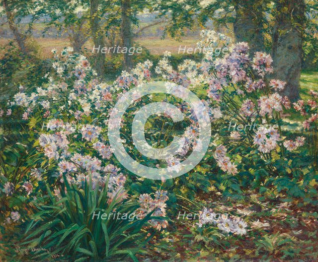 Windflowers, 1912. Creator: Gaines Ruger Donoho.