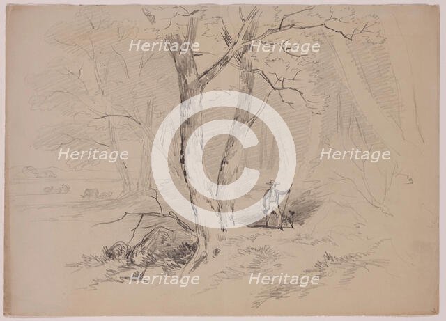 Man and Dog in the Woods, 19th century. Creator: John William Casilear.