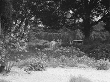 Breese, James, Mr., garden, 1933 Creator: Arnold Genthe.