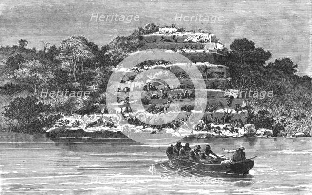 'Resort of Apes on the banks of the Senegal; Journey from the Senegal to the Niger', 1875. Creator: Unknown.
