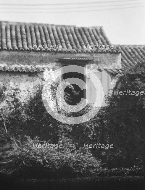 Travel views of Cuba and Guatemala, between 1899 and 1926. Creator: Arnold Genthe.