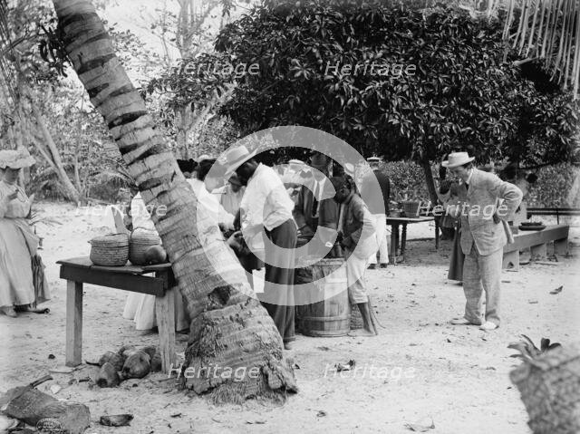 Eating cocoanuts, c1906. Creator: Unknown.