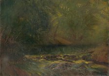 Forest Interior with a Brook, 1900-1902. Creator: Ladislav Mednyanszky.