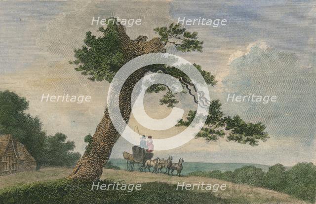 'Rural Subject', 1804. Creator: C Taylor.