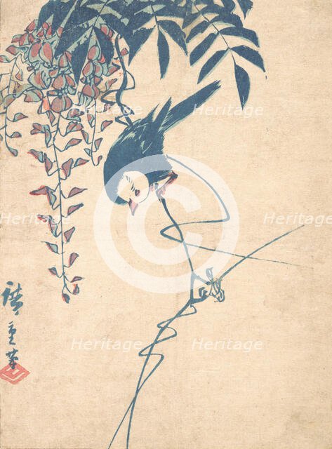Wisteria and White-headed Bird, ca. 1842., ca. 1842. Creator: Ando Hiroshige.