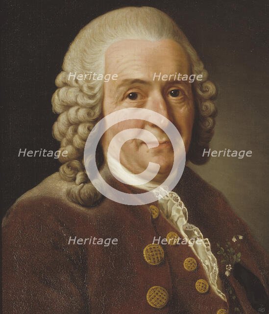 Carl von Linné, 1707-1778, botanist, professor, 1775. Creator: Alexander Roslin.