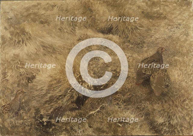 Autumn Landscape with Partridges, 1913. Creator: Bruno Liljefors.