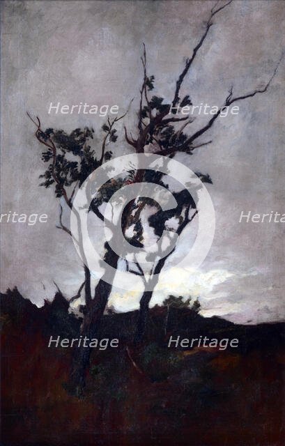 Tree study,  c1893-98. Creator: Petrus van der Velden.