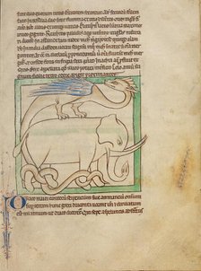 A Dragon; Northumberland Bestiary, about 1250-1260. Creator: Unknown.