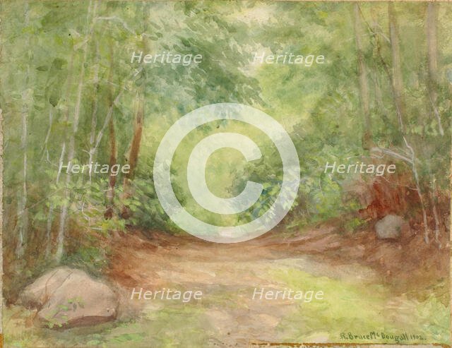Untitled (Forest Scene), 1902. Creator: Robert Bruce McDougall.