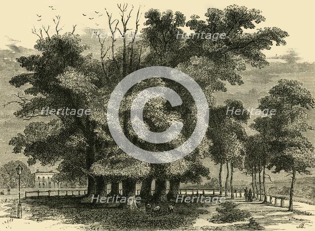 'The "Seven Sisters", in 1830', (c1876). Creator: Unknown.