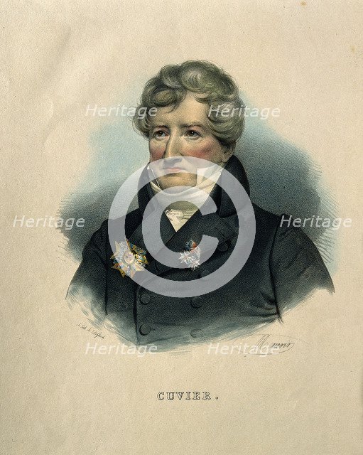 Georges Léopold Chrétien Frédéric Dagobert, Baron de Cuvier (1769-1832), .