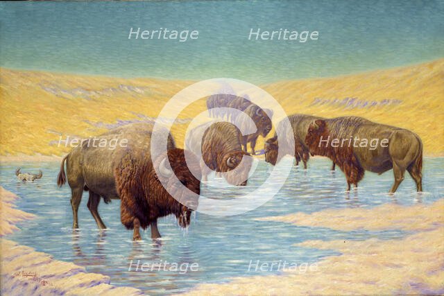 Buffalo Scene, 1922. Creator: Emil W. Lenders.