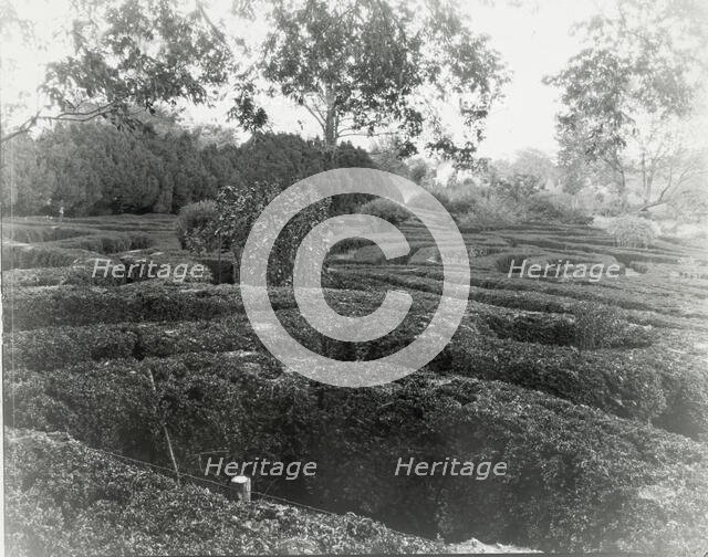 "Tuckahoe," Nehemiah Addison Baker house, Route 650, near Mankin, Goochland County, VA, 1936. Creator: Frances Benjamin Johnston.