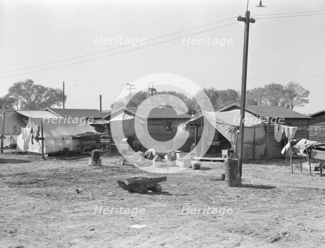 Housing for migratory cotton workers five miles north of Corcoran, California, 1936. Creator: Dorothea Lange.