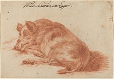 Wild Boar, 18th century. Creator: Unknown.