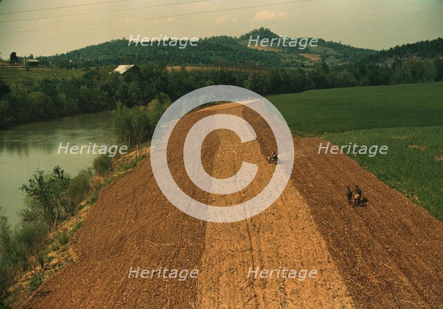 Planting corn along a river in northeastern Tennessee, 1940. Creator: Marion Post Wolcott.
