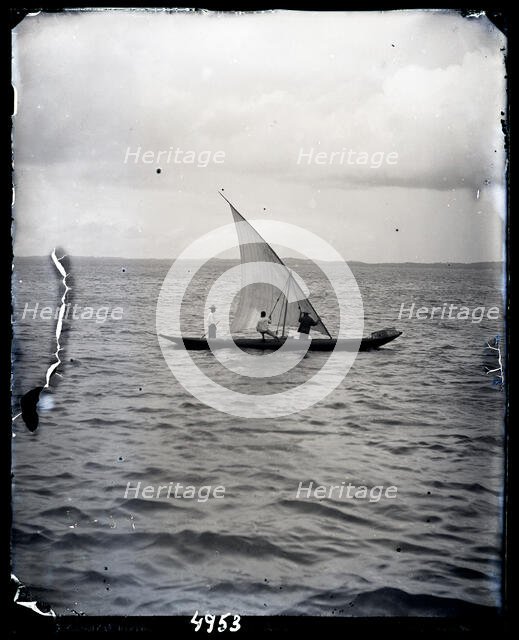 United States Fish Commission Steamer "Albatross" Circumnavigation of South America, 1888. Creator: United States National Museum Photographic Laboratory.