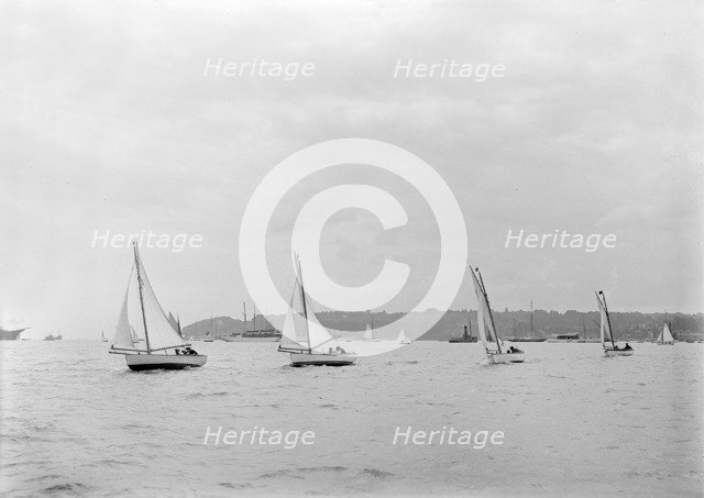 Group of Solent Sea Birds, 1922. Creator: Kirk & Sons of Cowes.