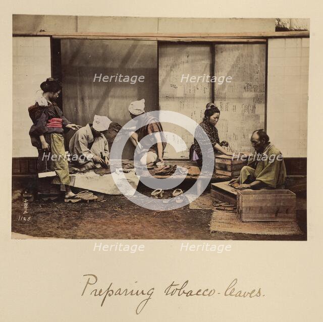 Preparing Tobacco Leaves, about 1873-1883. Creator: Shinichi Suzuki I.