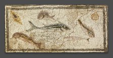 Mosaic Floor Panel Depicting Marine Life, 200-230. Creator: Unknown.