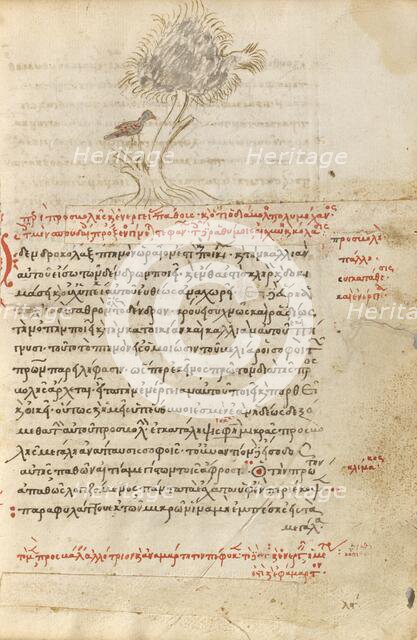 A Bird Sitting in a Tree; Miscellany: Physiologus: other texts, 1510-1520. Creator: Unknown.