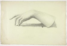 Left Forearm and Hand, n.d. Creator: Elizabeth Murray.