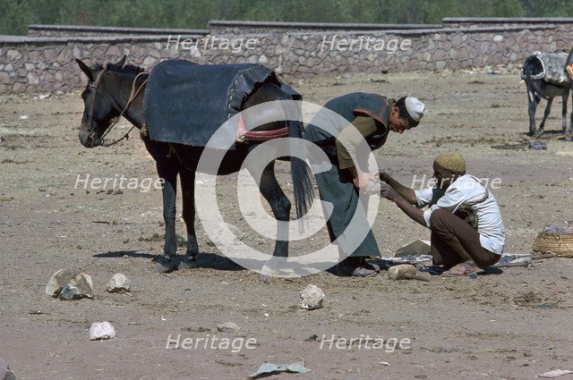 Shoeing of a mule at the Berber market south of Marrakech.